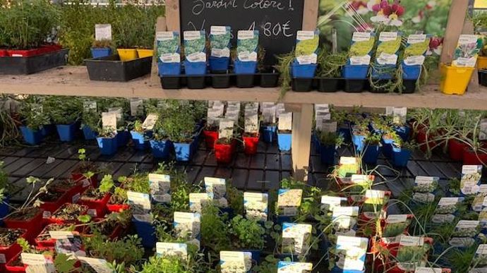 Des messages, ludiques, poétiques, humoristiques… invitent les clients à comprendre les achats de saison, la meilleure combinaison des couleurs, ou même l’évolution de l’état végétatif des cultures en place. ©Odile Maillard